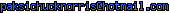 msn