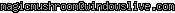 msn