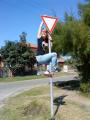 koalamacisajt