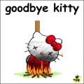 Goodbye kitty