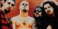 pantera1