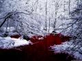 River of Blood