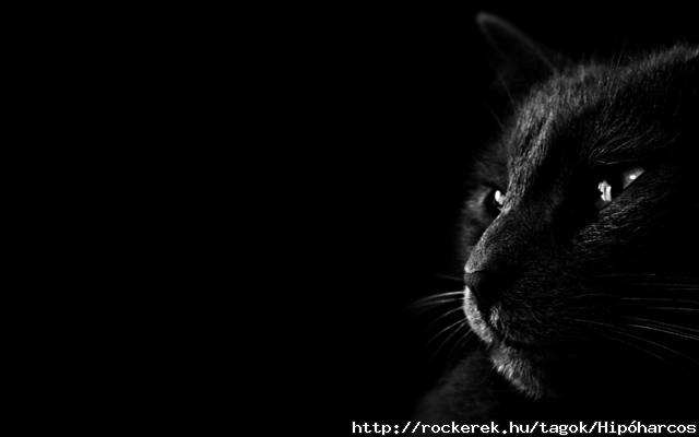 Black_Emotion___Wallpaper_Pack_by_QuelFamosoPorco