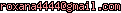 msn