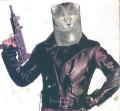 Cat  Sidhe