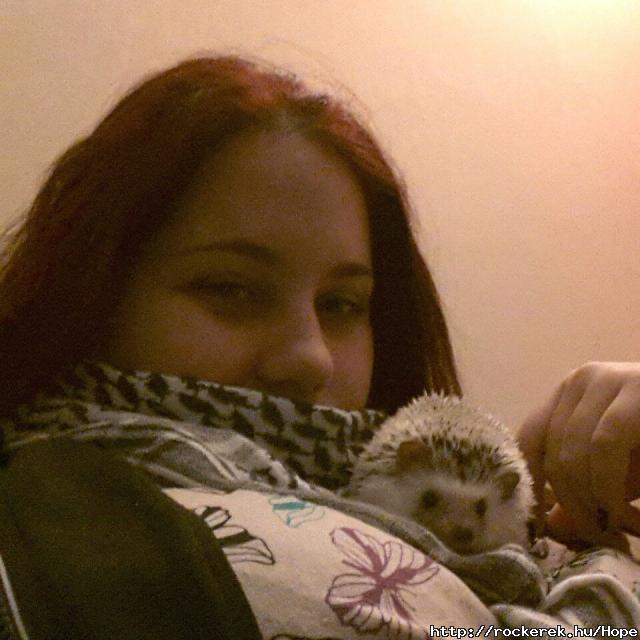 Tvzs