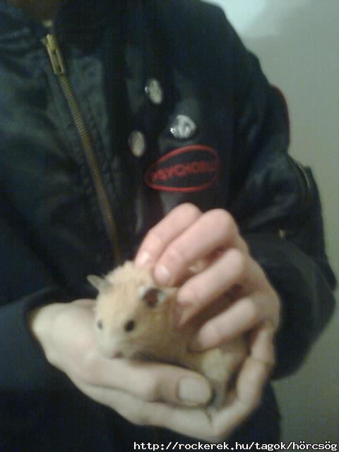 t is megfertzte a Psychobilly nevezet ragly <:D