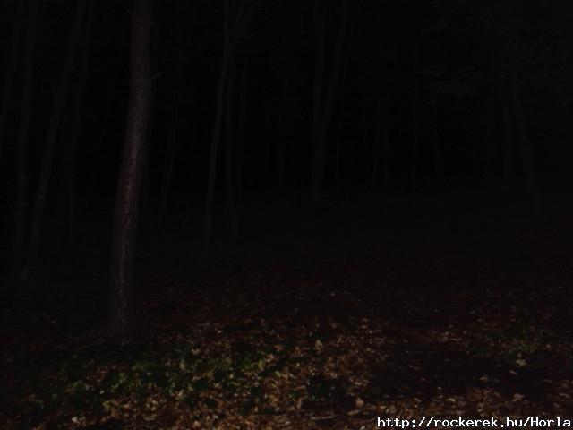 Erdly - Sepsiszentgyrgy - Darkness