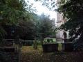 England - Thornbury - Aptsg kert