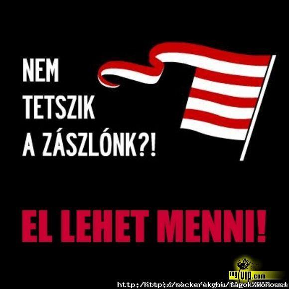 Nem tetszik a zszlnk?