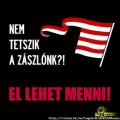 Nem tetszik a zszlnk?
