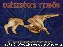 Csodaszarvas.