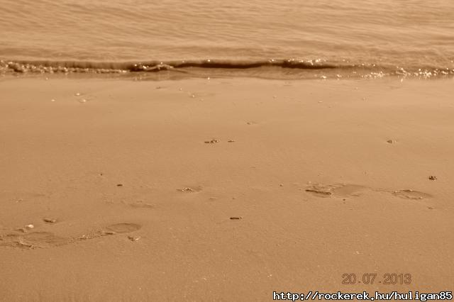 CSC_0202