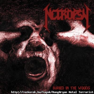 Necropsy