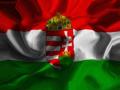 100% magyar