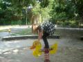 DSCN0651