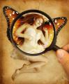 butterfly effect