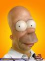 homer
