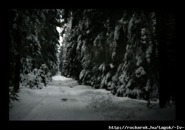 deep_forest_by_ssilence