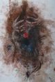 Spiders2