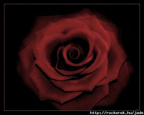user_9375517_1258622793305_box