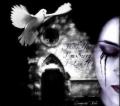 user_9962533_1221401320736