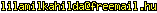 msn