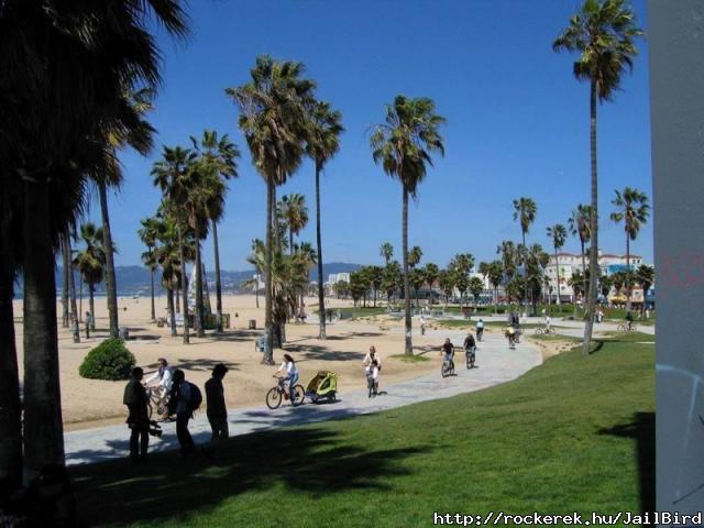 the dream of mine: Venice Beach