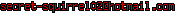 msn