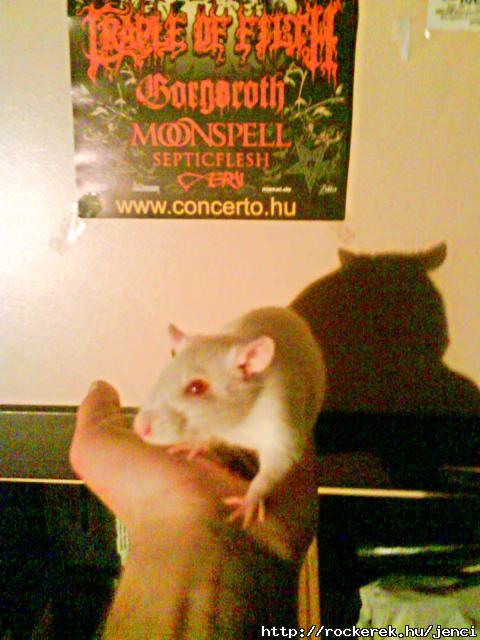 Rati