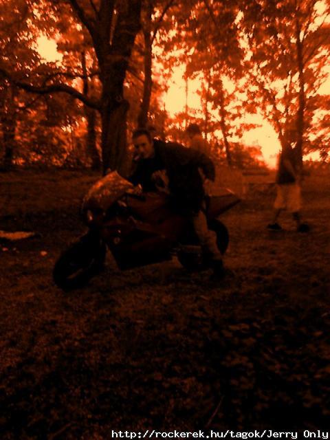 Motor
