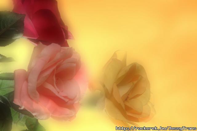 3D.A.1 (18)