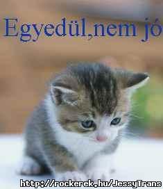 Selli_~_1252483201