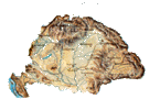 user_10334062_1175695163790anim