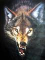 user_wolf1