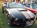 Mustang 001
