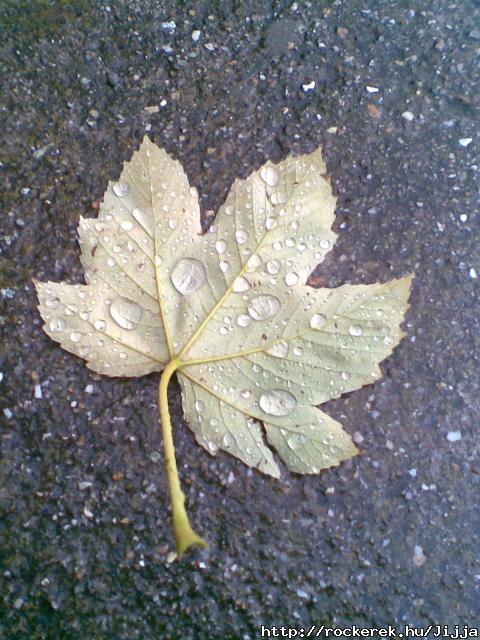 levelem