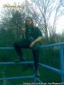 Joell
