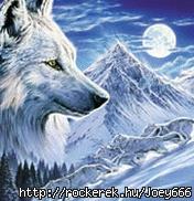 WOLF