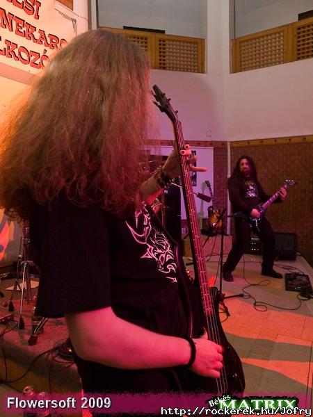 koncert