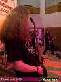 koncert