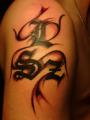 DSC00509