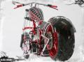 tekete_ozvegy_chopper_26993_564514_n