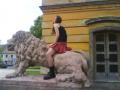 Zsf(L)