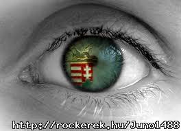 szem.