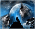 wolves