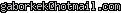 msn