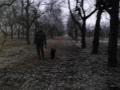 2012 utols napjn :)
