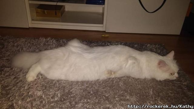 FB_IMG_1573852680514