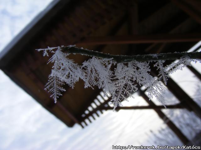 DSCF8307